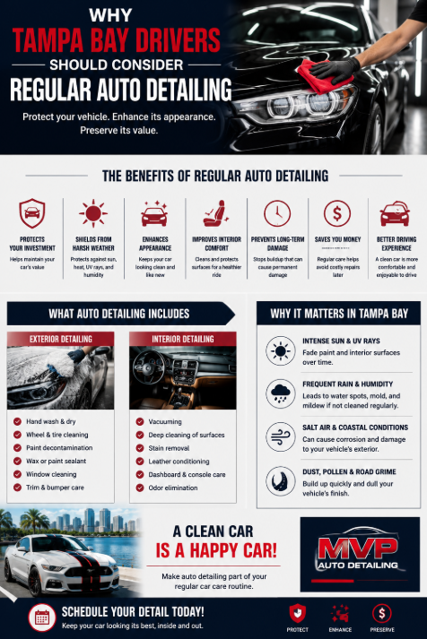 Why Tampa Bay Drivers Should Consider Regular Auto Detailing